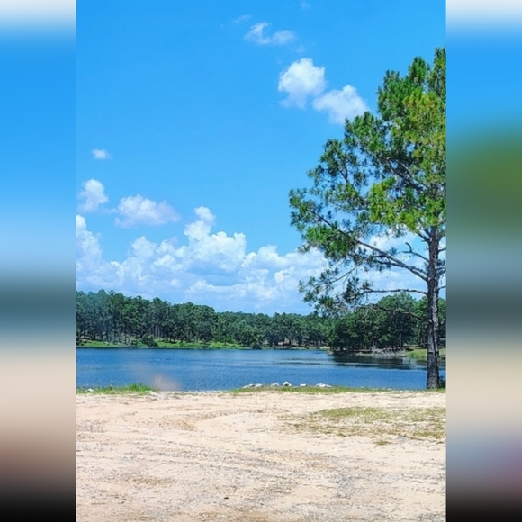 Meet your Posher, Susan - Picture 5 of 6